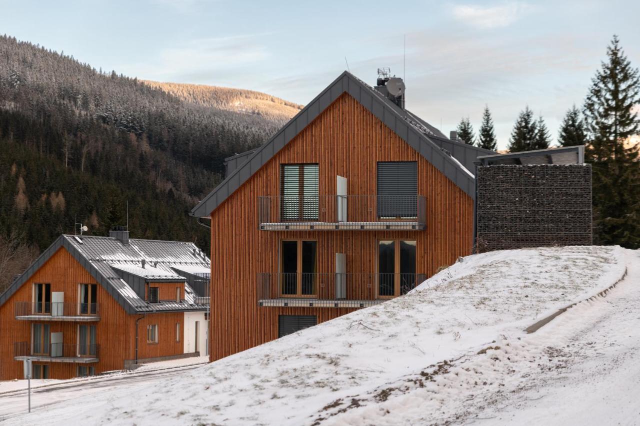 Apartman Pod Sneznikem Dolní Morava 外观 照片