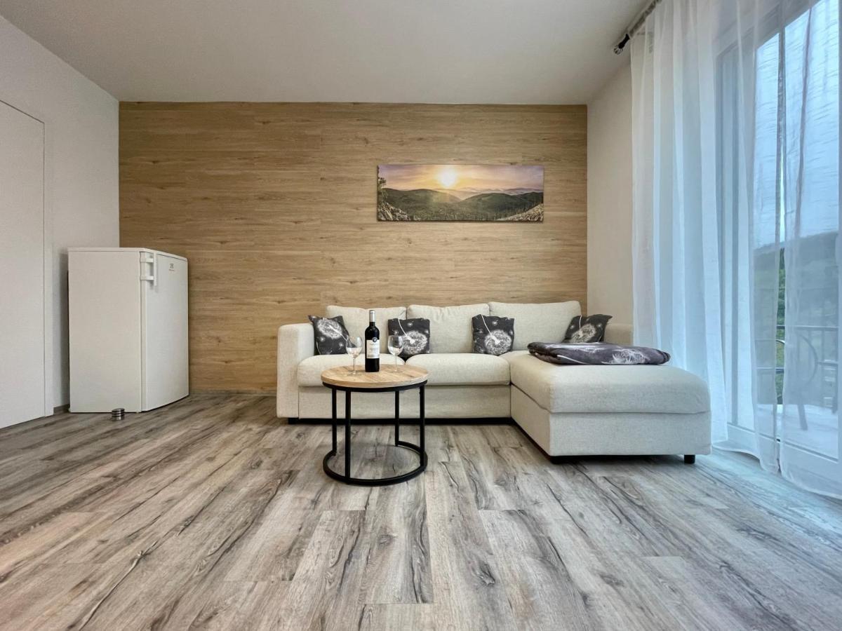 Apartman Pod Sneznikem Dolní Morava 外观 照片
